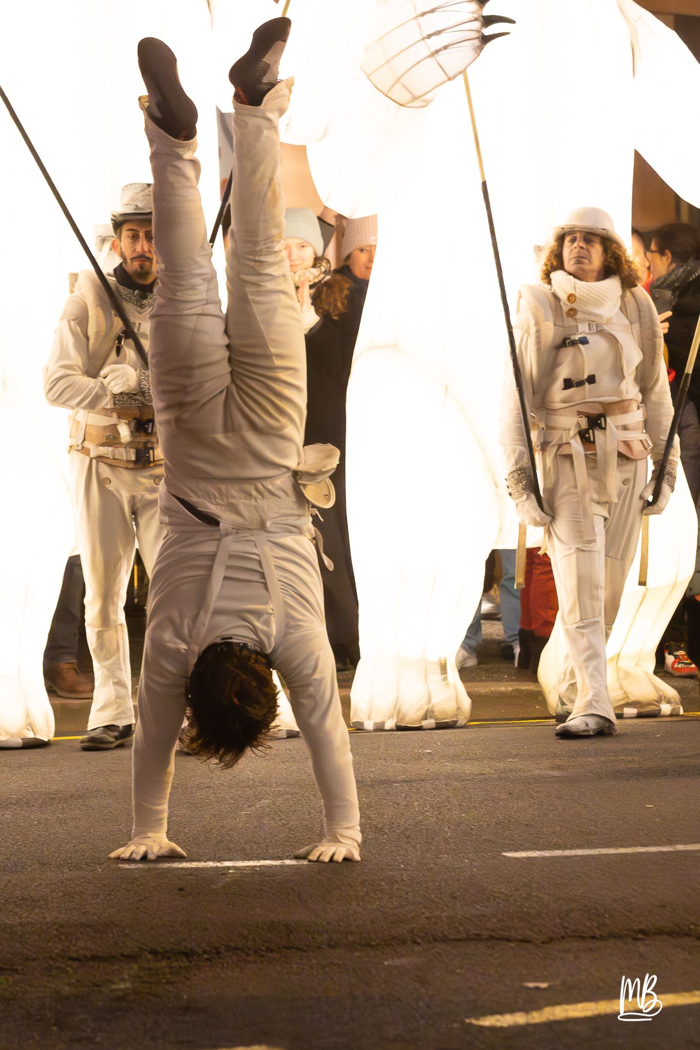 MB2024 CIE REMUE MENAGE(Gueule d'ours) (56 sur 107)